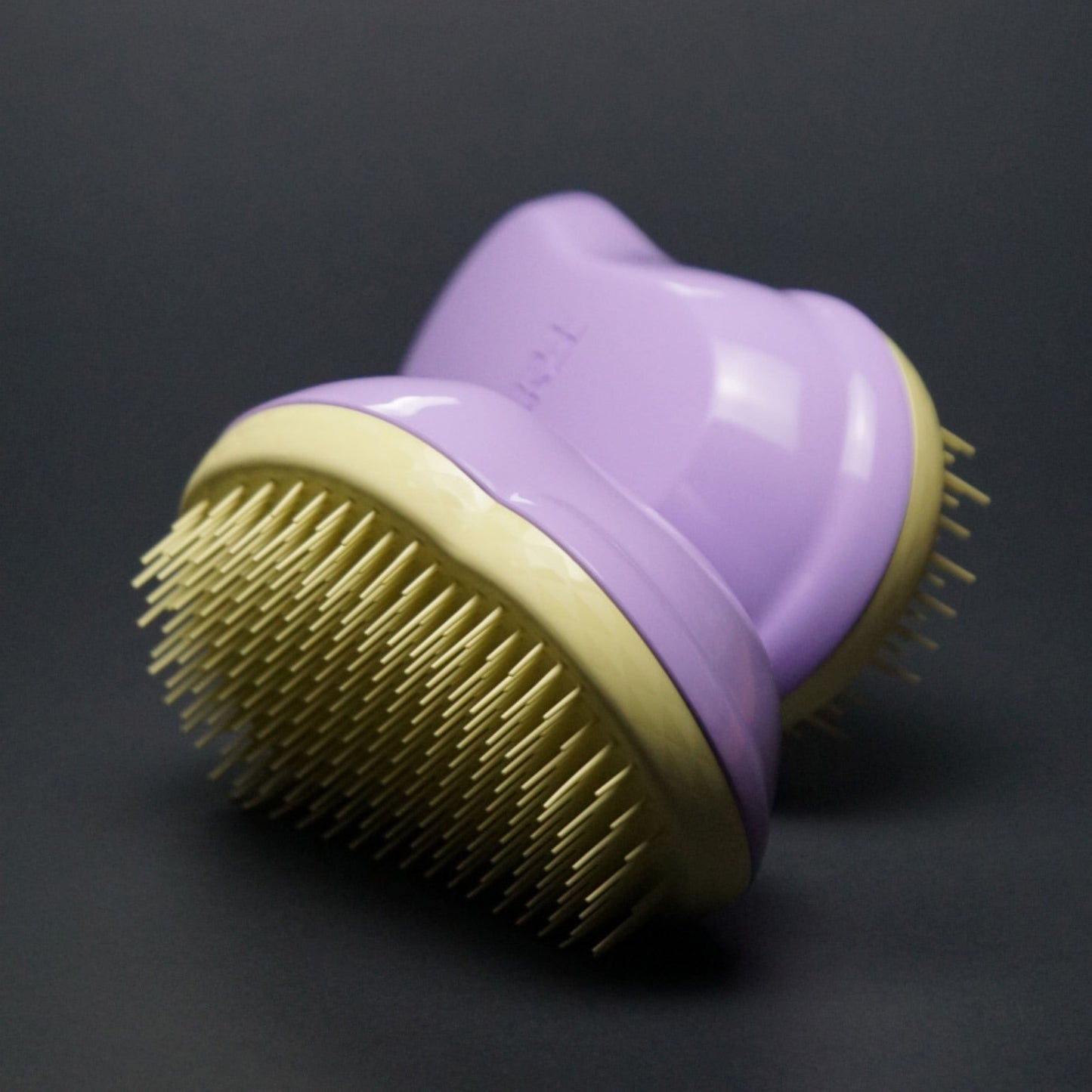 Tangle Teezer Hairbrush