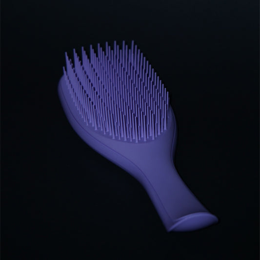 Tangle Teezer Hairbrush